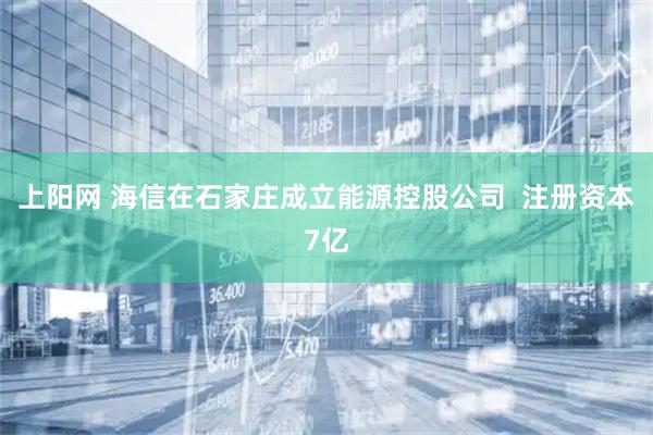 上阳网 海信在石家庄成立能源控股公司  注册资本7亿