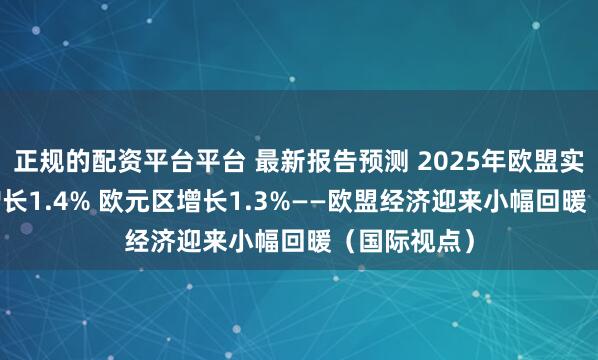 正规的配资平台平台 最新报告预测 2025年欧盟实际GDP将增长1.4% 欧元区增长1.3%——欧盟经济迎来小幅回暖（国际视点）